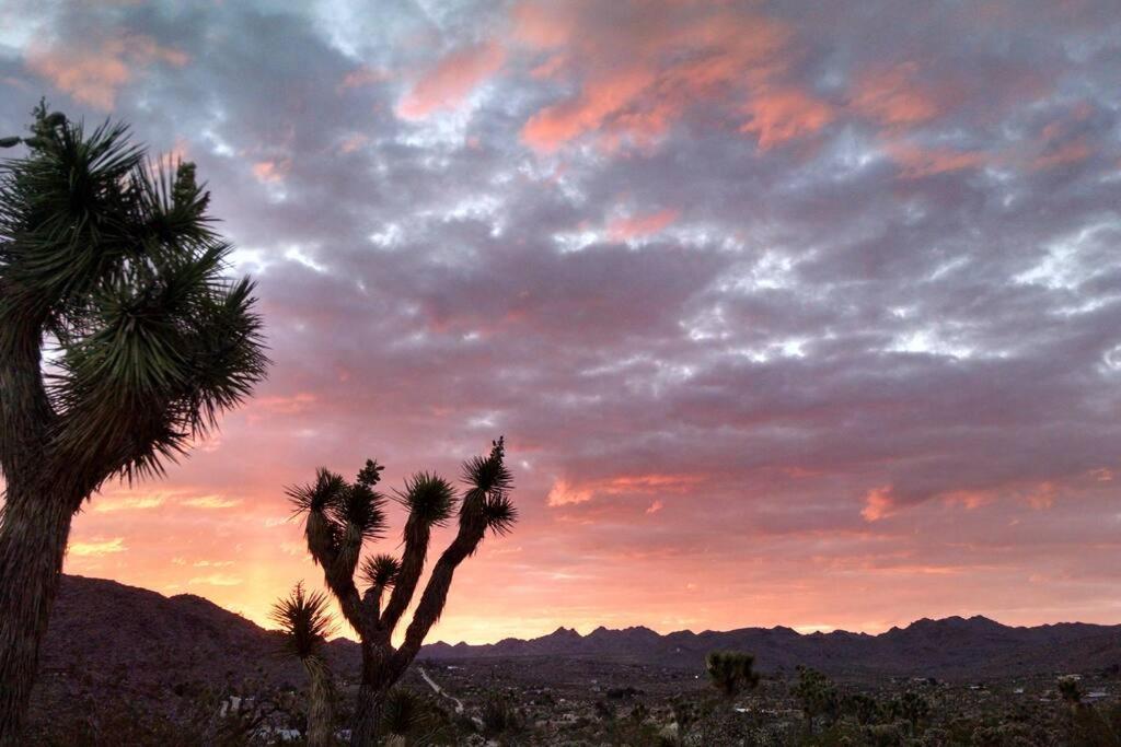 Steph'S Panorama Paradise-Nat'L Park Minutes Away โจชัวทรี ภายนอก รูปภาพ